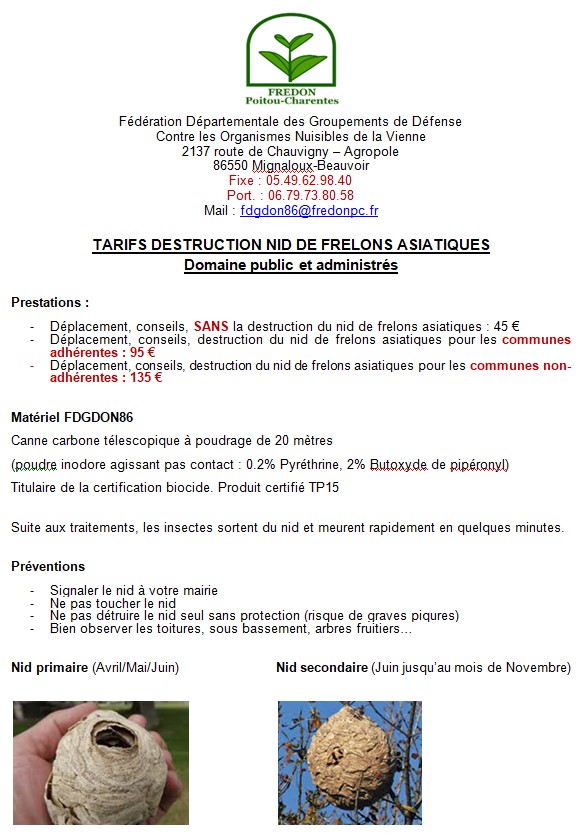 info pratique destruction nids de frelons asiatiques