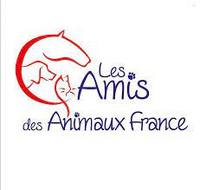 les amis des animaux