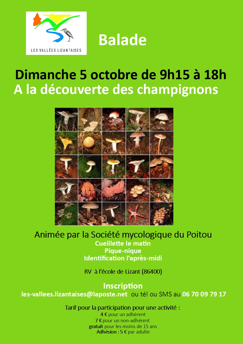 Champignon 5 octobre 2025 version definitive