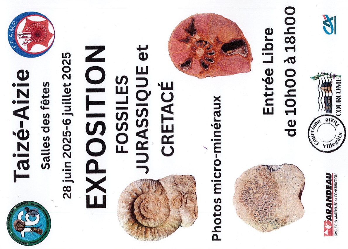 expo fossiles
