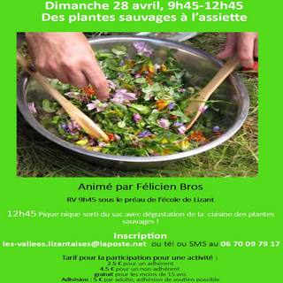 cuisine-et-cueillette-avril-2024-2