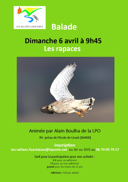 les rapaces avril 2025