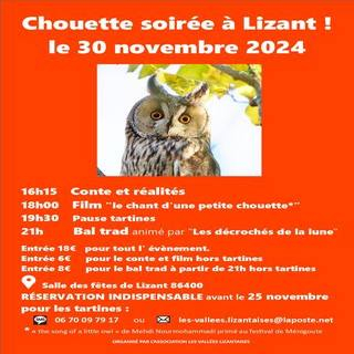 LVL_chouettes